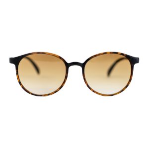 Classe Flat Tortoise